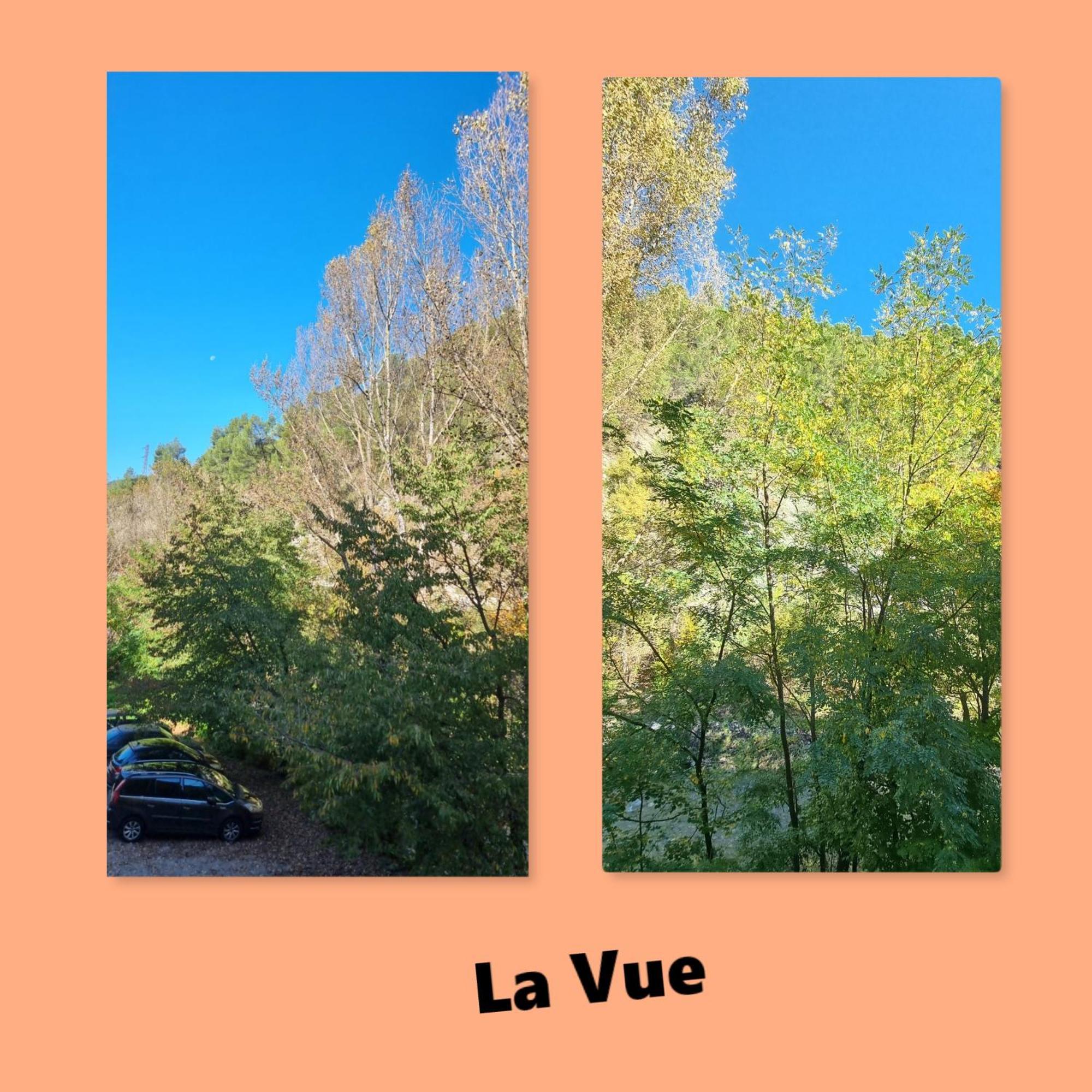 Calme Et Arbore, Studio 34 디뉴레뱅 외부 사진